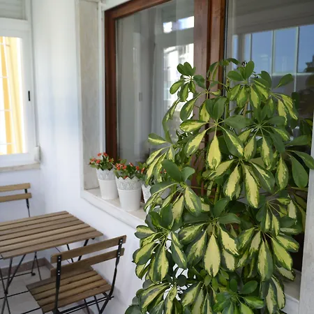 Gasthof Casa Amarela Belem Lissabon