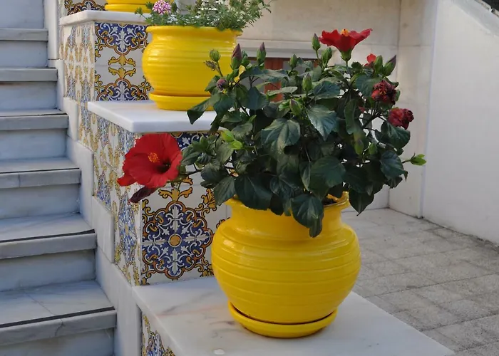 Pensión Casa Amarela Belém