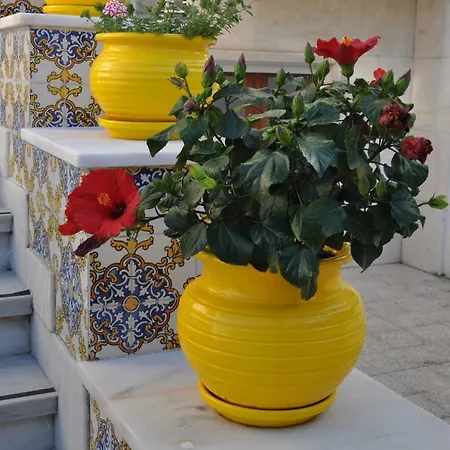 Pensionat Casa Amarela Belem